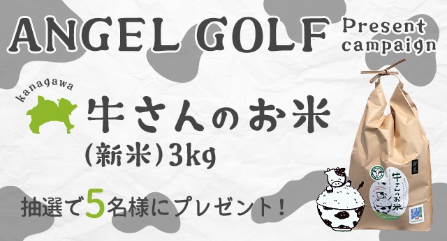 ANGEL GOLFプレゼントキャンペーン