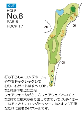 Hole 8