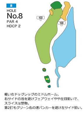Hole 8