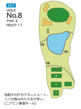 Hole 8