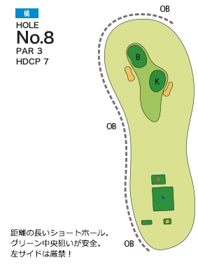 Hole 8