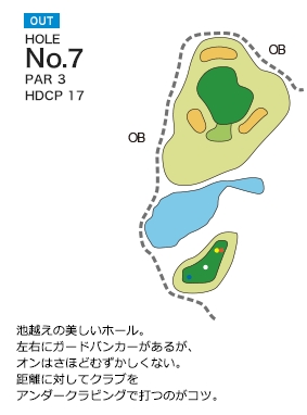 Hole 7