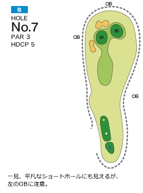 Hole 7