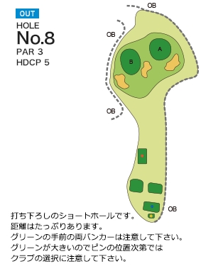 Hole 8