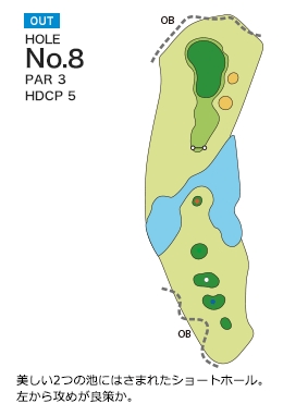 Hole 8