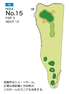 Hole 15