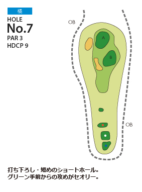 Hole 7