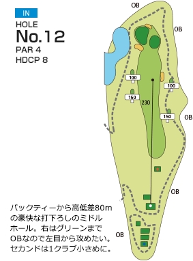 Hole 12