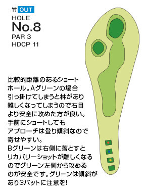 Hole 8