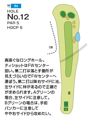 Hole 12