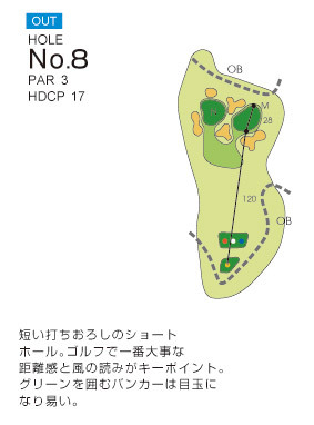 Hole 8