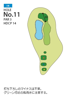Hole 11