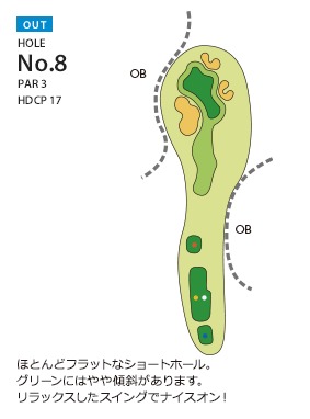 Hole 8
