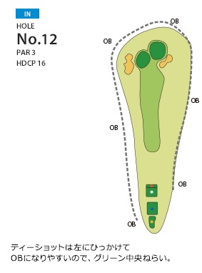 Hole 12