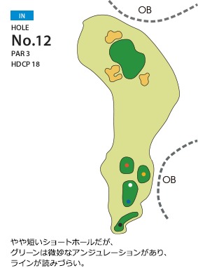 Hole 12
