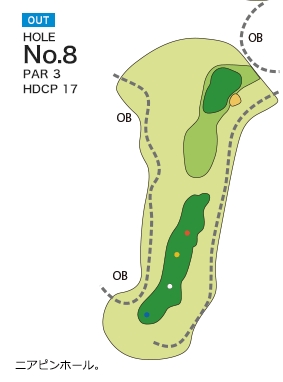Hole 8