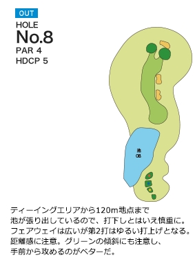 Hole 8